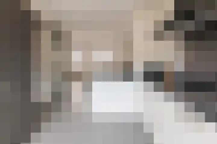 Dijkoever 31 Hillegom thumbnail 12
