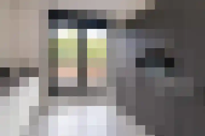 Dijkoever 31 Hillegom thumbnail 13