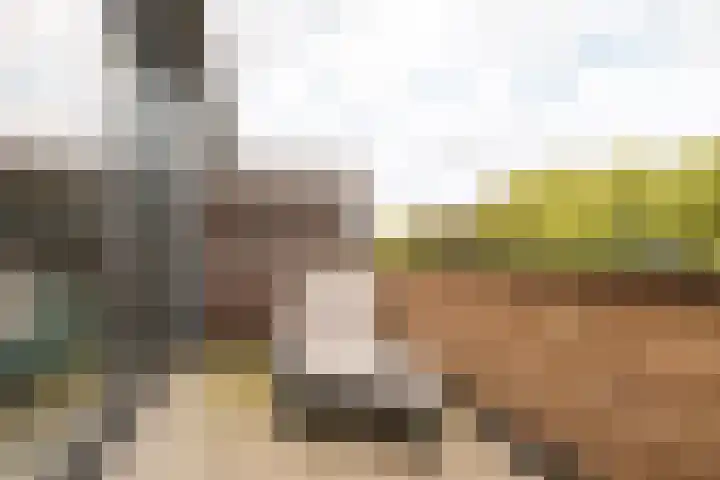 Dijkoever 31 Hillegom thumbnail 15