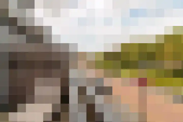 Dijkoever 31 Hillegom thumbnail 16