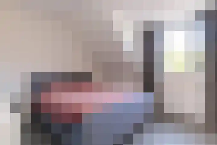 Dijkoever 31 Hillegom thumbnail 20