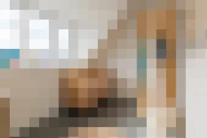 Dijkoever 31 Hillegom thumbnail 25