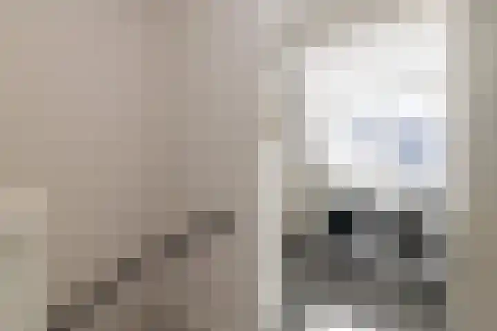 Dijkoever 31 Hillegom thumbnail 26