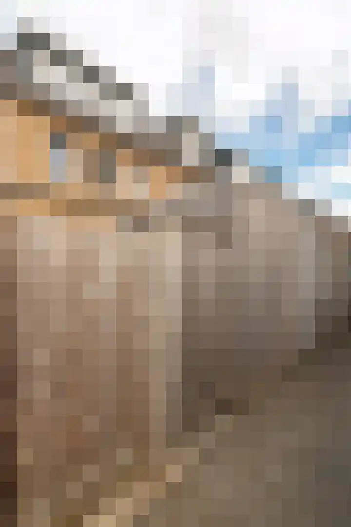 Dijkoever 31 Hillegom thumbnail 28