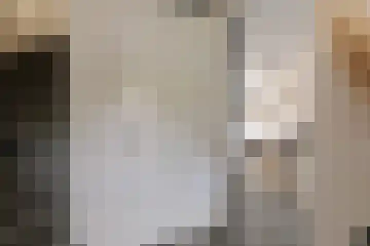 Dijkoever 31 Hillegom thumbnail 5