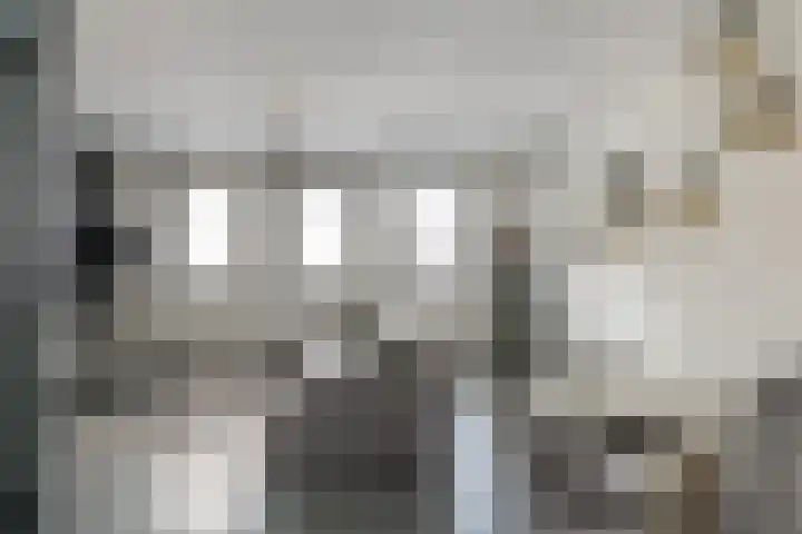 Dijkoever 31 Hillegom thumbnail 7