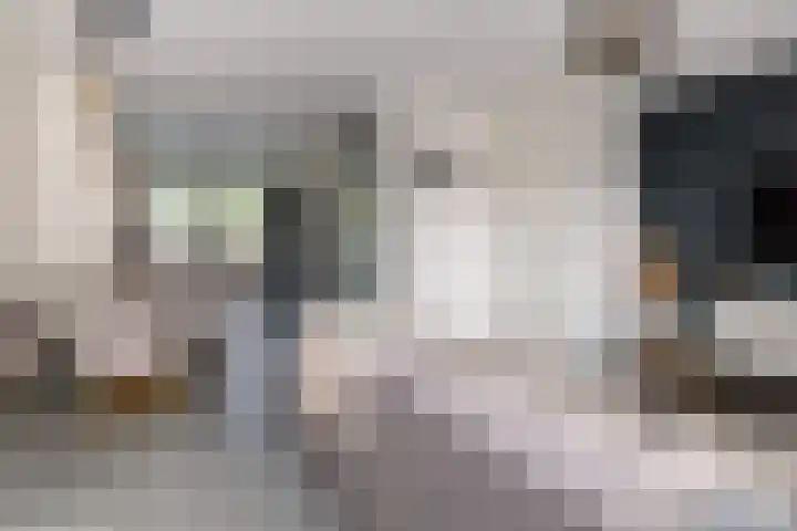 Dijkoever 31 Hillegom thumbnail 9