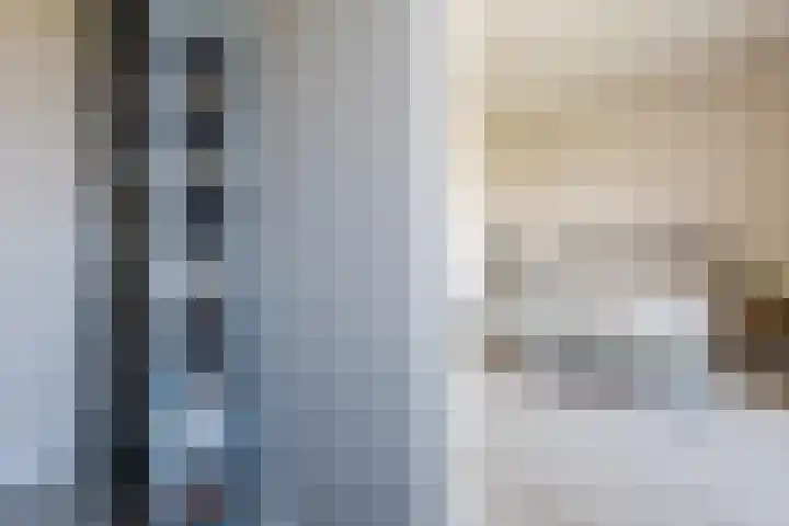 Dijkskruin 13 Cuijk thumbnail 19
