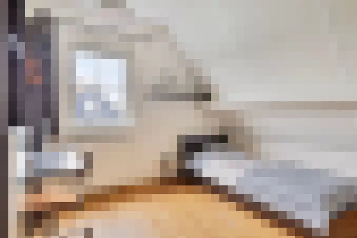 Dijkskruin 13 Cuijk thumbnail 28