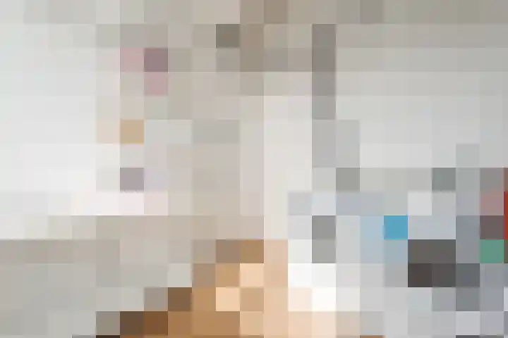 Dijkskruin 13 Cuijk thumbnail 31
