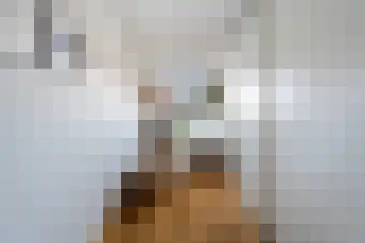 Dijkskruin 13 Cuijk thumbnail 32