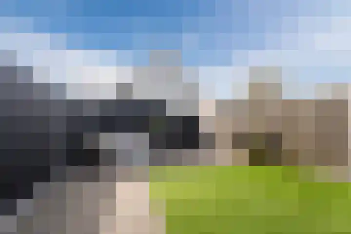 Dijkskruin 13 Cuijk thumbnail 34