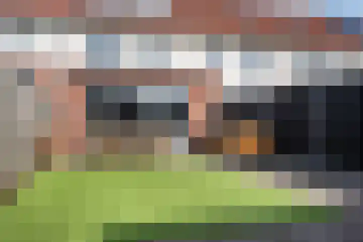 Dijkskruin 13 Cuijk thumbnail 36