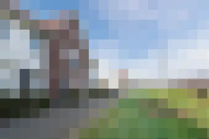 Dijkskruin 13 Cuijk thumbnail 38