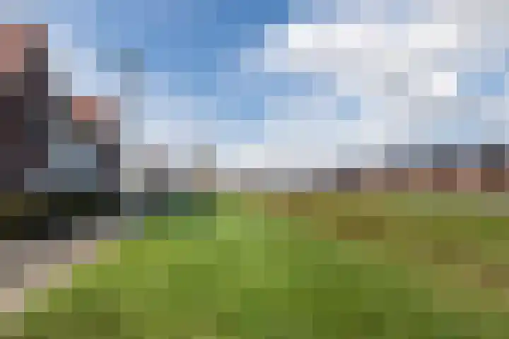 Dijkskruin 13 Cuijk thumbnail 39