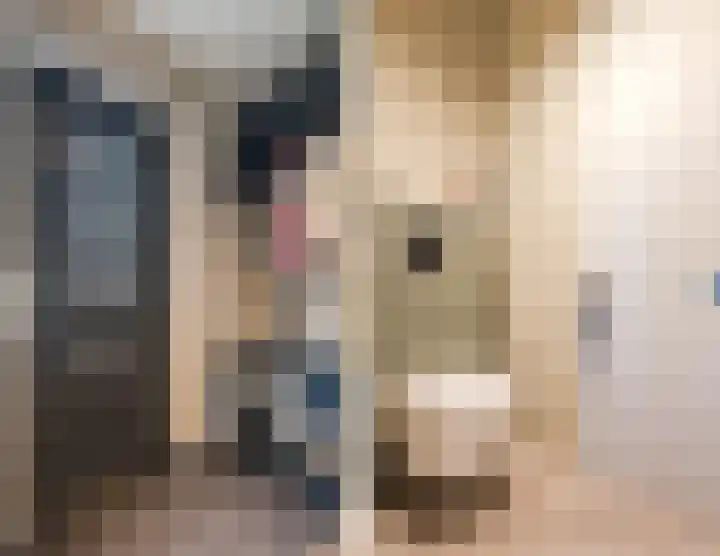 Dijkskruin 13 Cuijk thumbnail 7