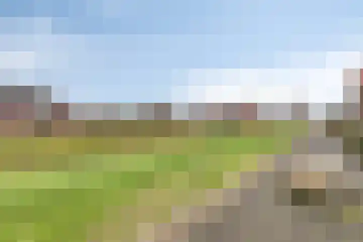 Dijkskruin 5 Cuijk thumbnail 12