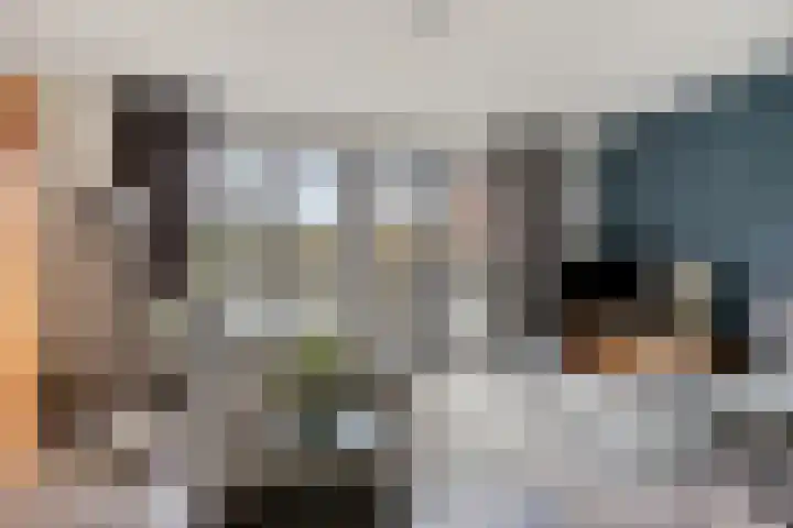 Dijkskruin 5 Cuijk thumbnail 15