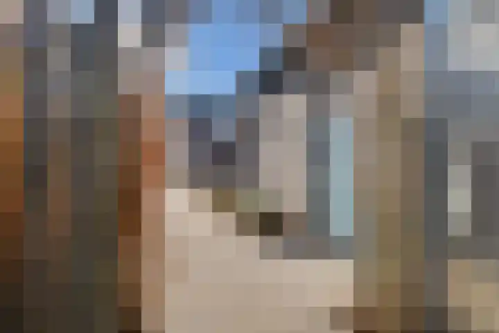 Dijkskruin 5 Cuijk thumbnail 18