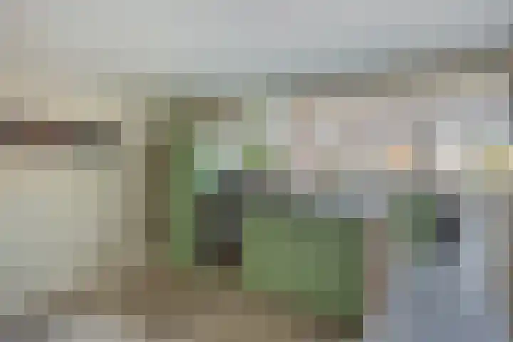 Dijkskruin 5 Cuijk thumbnail 29