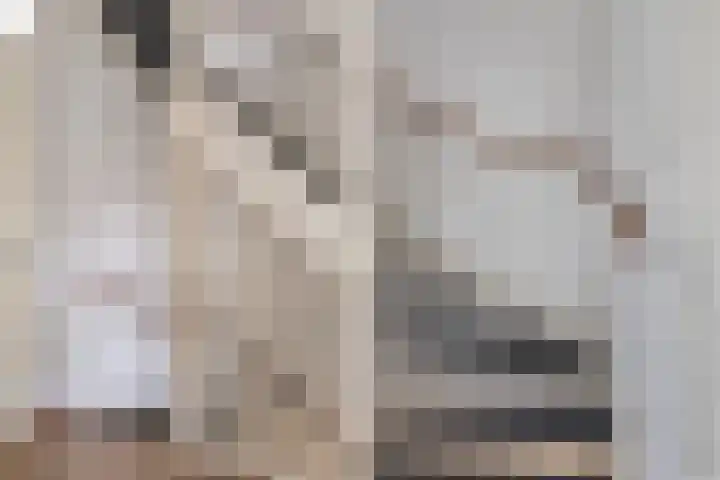 Dijkskruin 5 Cuijk thumbnail 35