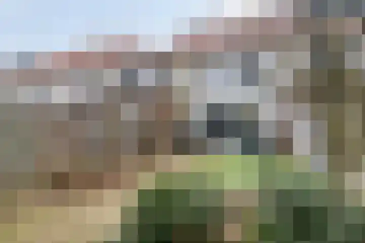 Dijkskruin 5 Cuijk thumbnail 39