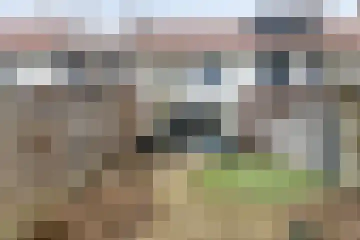 Dijkskruin 5 Cuijk thumbnail 40
