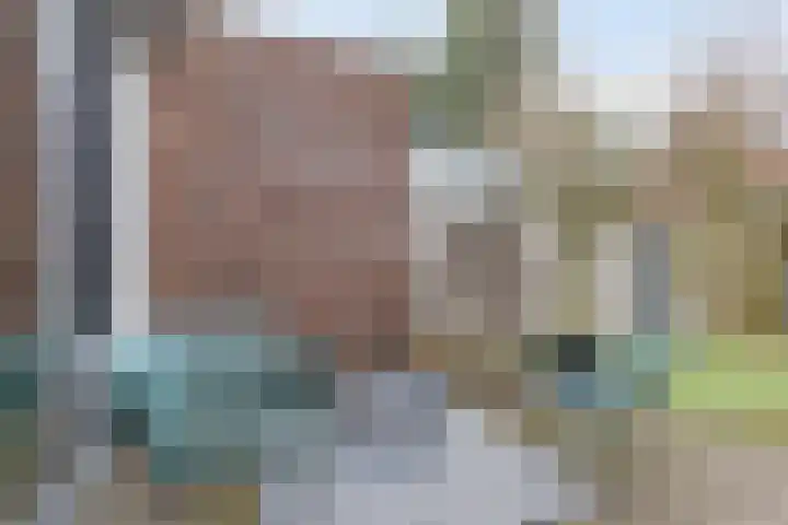 Dijkskruin 5 Cuijk thumbnail 42