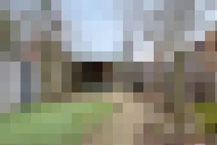 Dijkskruin 5 Cuijk thumbnail 43