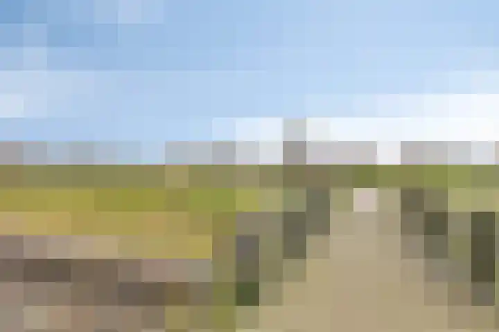 Dijkskruin 5 Cuijk thumbnail 48