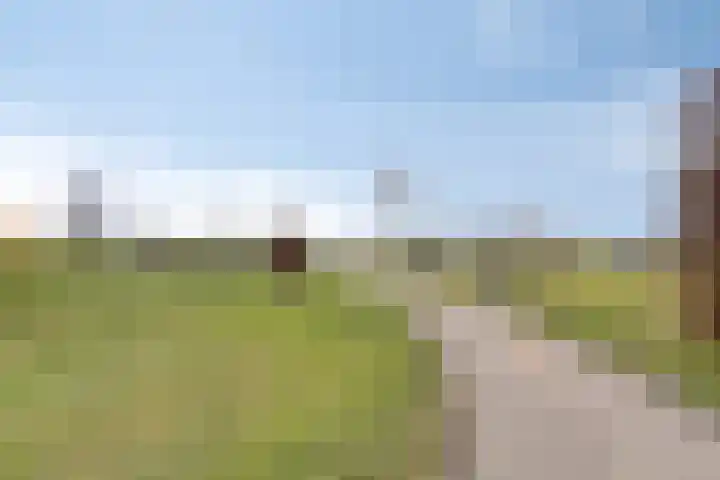 Dijkskruin 5 Cuijk thumbnail 49