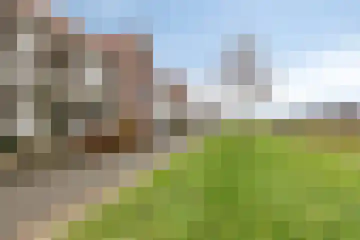 Dijkskruin 5 Cuijk thumbnail 6