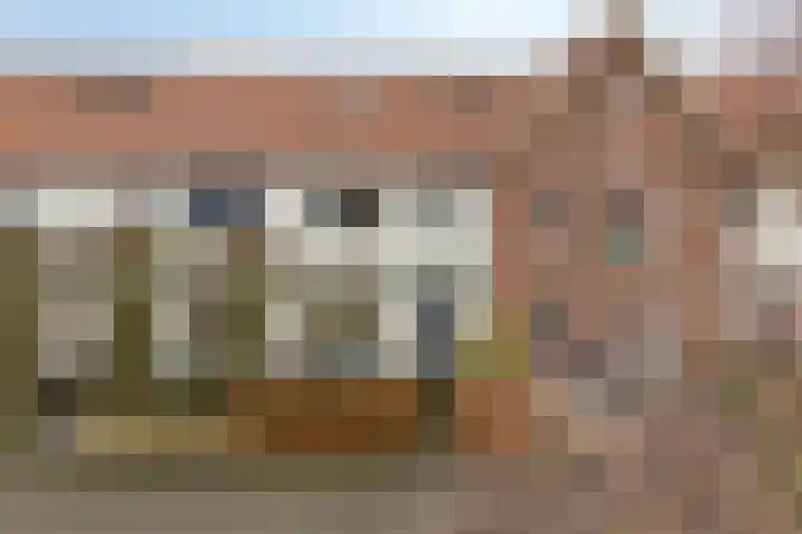 Dijkskruin 5 Cuijk thumbnail 9