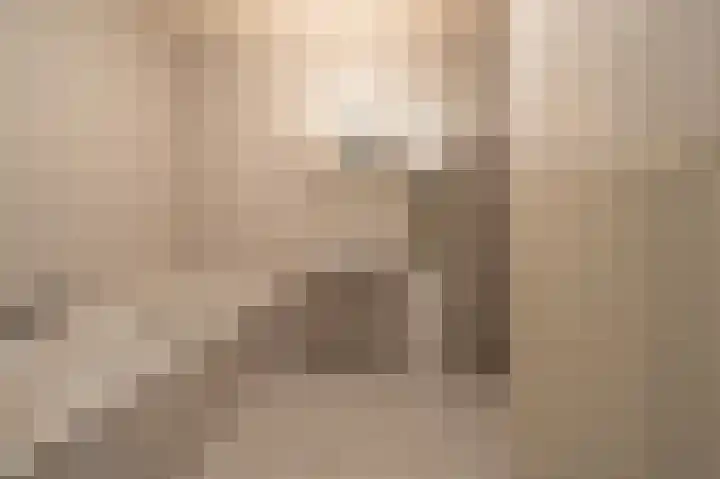 Dijkslag 10 Lopik thumbnail 13