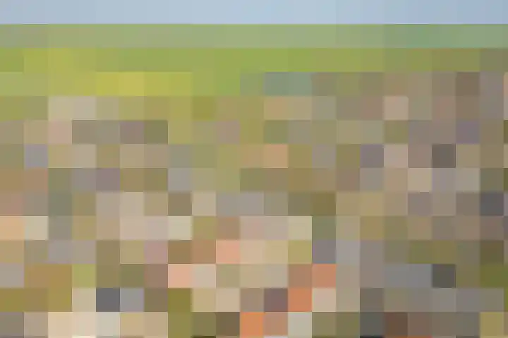 Dijkslag 10 Lopik thumbnail 25