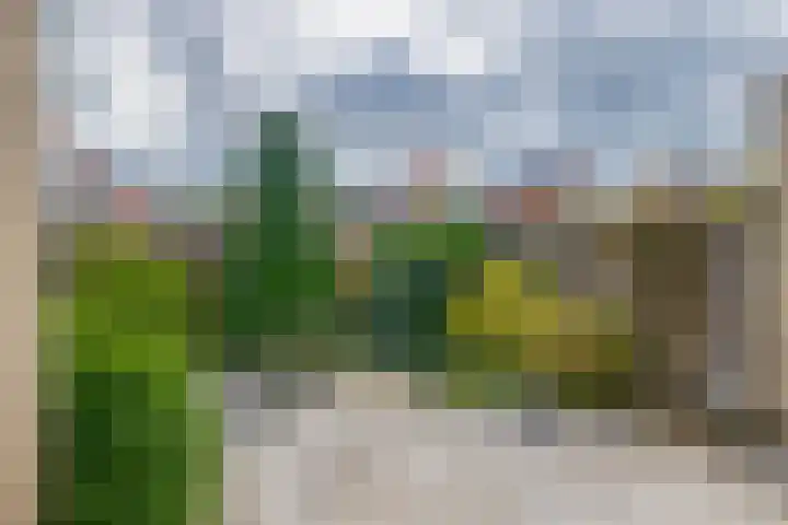 Dijkslag 13 Lopik thumbnail 20