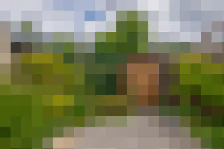 Dijkslag 13 Lopik thumbnail 23