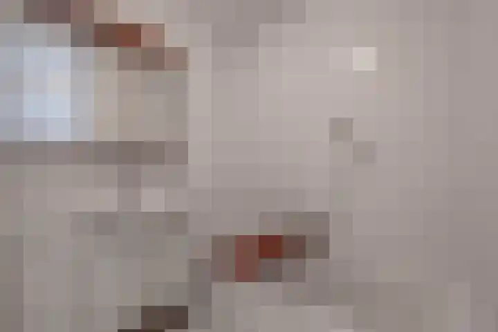 Dijkslag 13 Lopik thumbnail 27