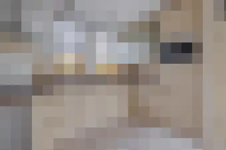 Dijkslag 13 Lopik foto 3