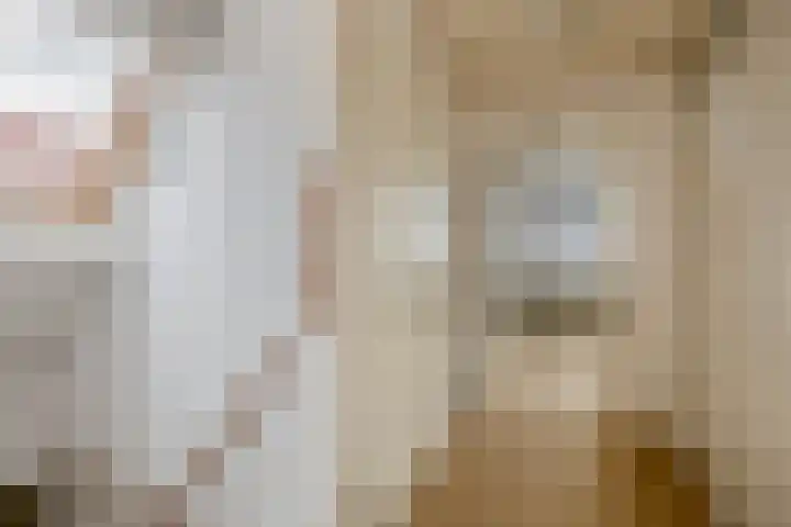 Dijkslag 13 Lopik thumbnail 30