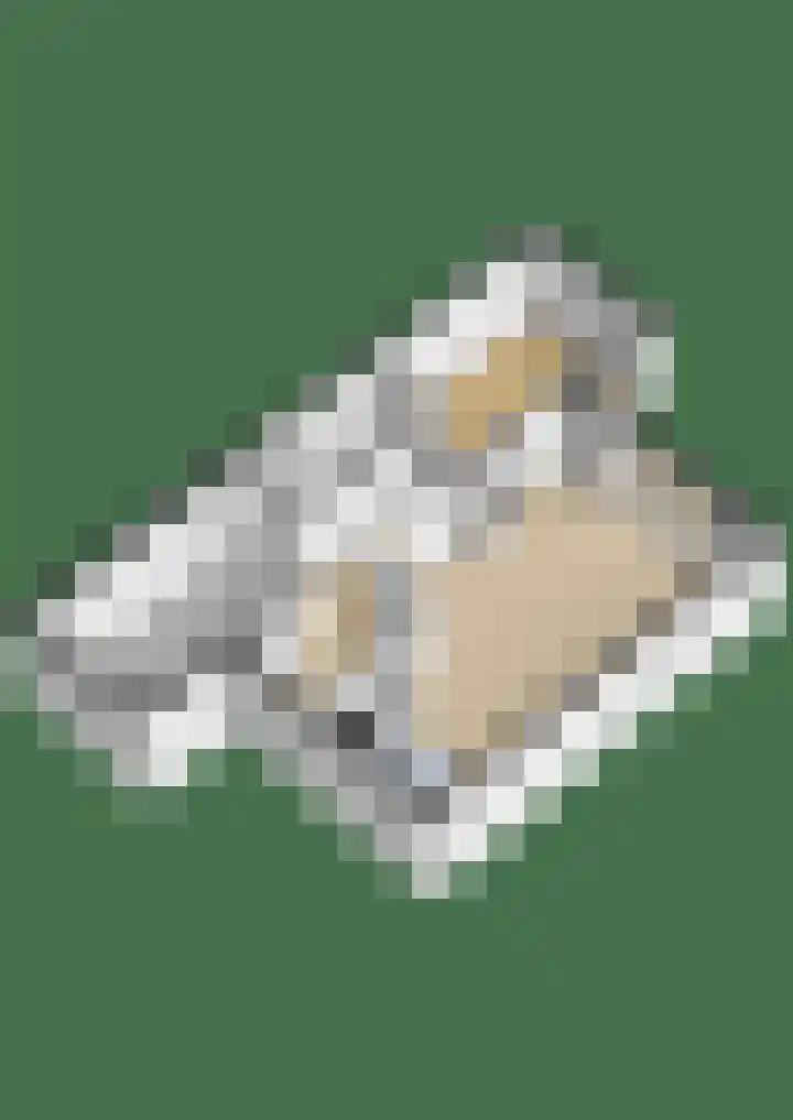 Dijkslag 13 Lopik thumbnail 37