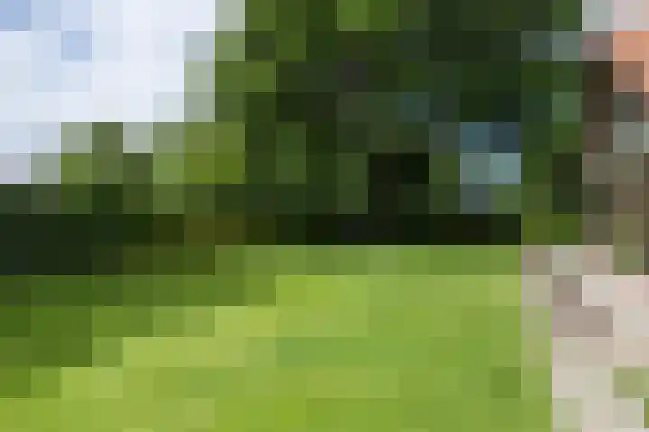 Dijkstelweg 41 Ouddorp thumbnail 26