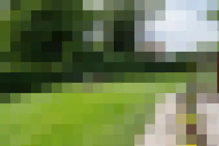 Dijkstelweg 41 Ouddorp thumbnail 29