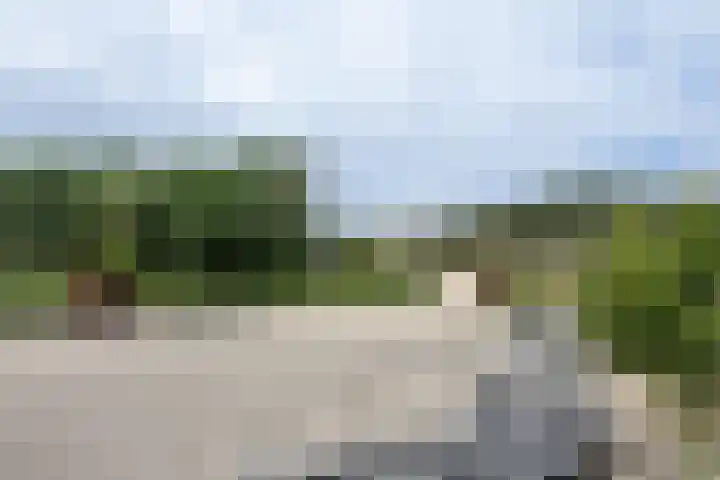 Dijkstelweg 41 Ouddorp thumbnail 31
