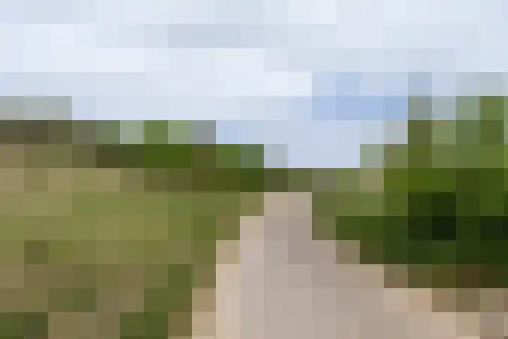 Dijkstelweg 41 Ouddorp thumbnail 32