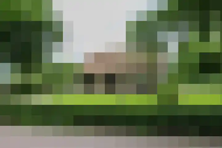 Dijkstelweg 41 Ouddorp thumbnail 4