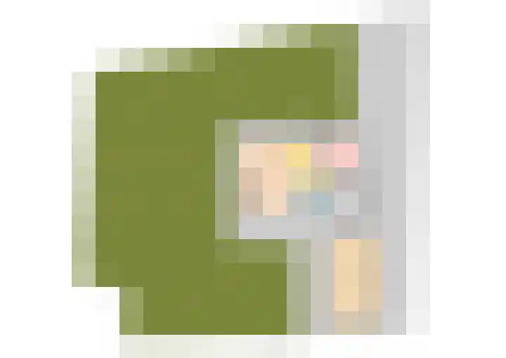 Dijkstelweg 41 Ouddorp thumbnail 41