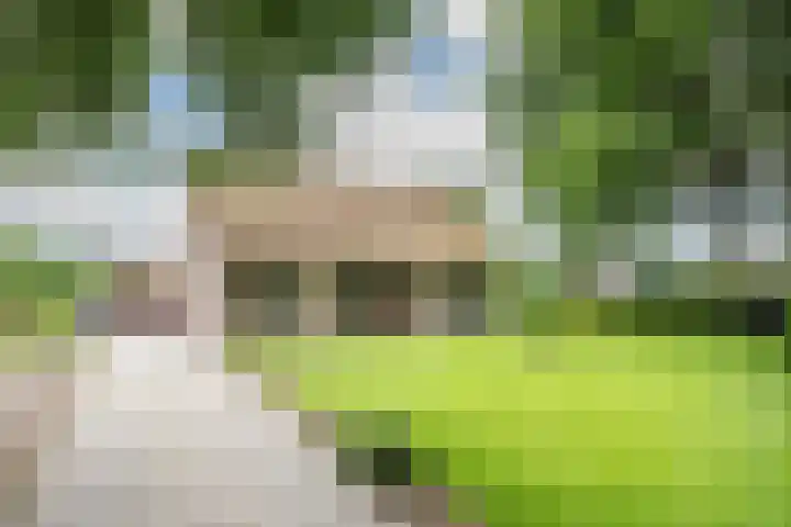 Dijkstelweg 41 Ouddorp thumbnail 42