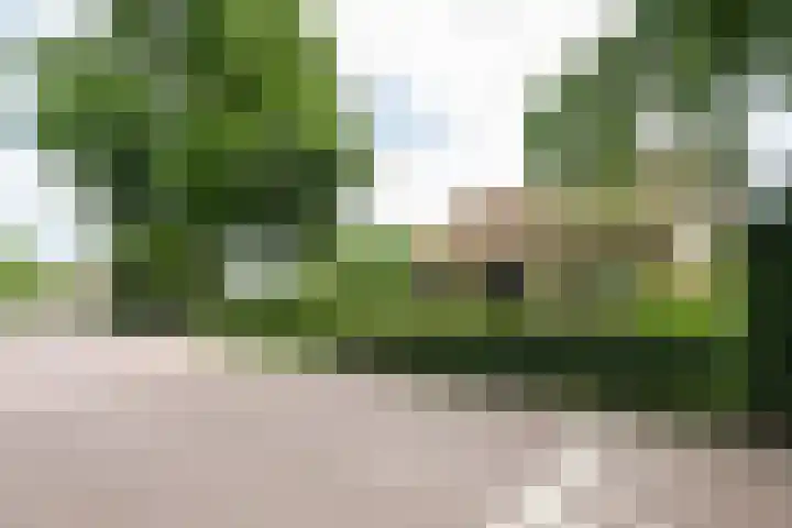 Dijkstelweg 41 Ouddorp thumbnail 5