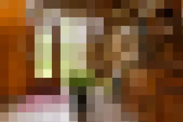 Dijkstelweg 41 Ouddorp thumbnail 6
